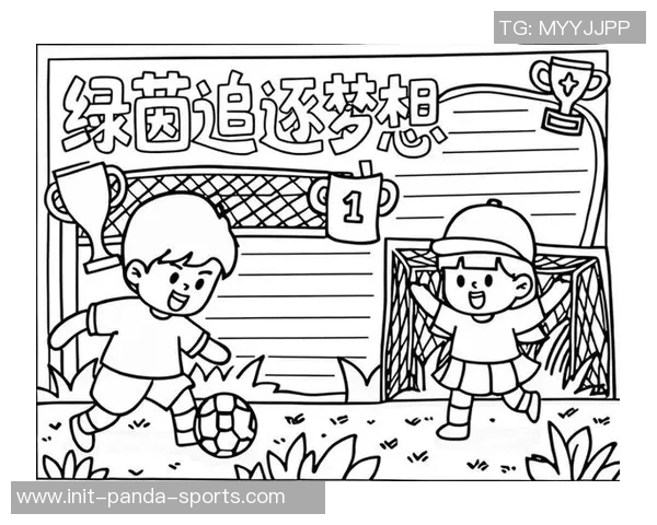 我与足球的故事：在绿茵场上追逐梦想的旅程